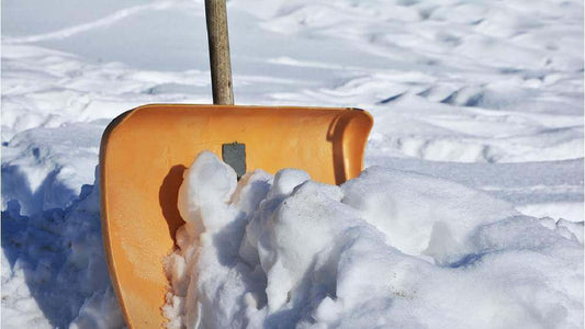 Skotta Snö