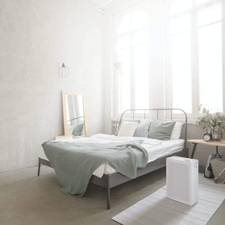 Coway Luftrenare AP-1019C SKU EAN