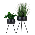 House Nordic Blomkruka Ardola 2-pack SKU HOU-9001170 EAN 5713917016433