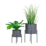 House Nordic Blomkruka Pavia 2-pack SKU HOU-9001175 EAN 5713917016402