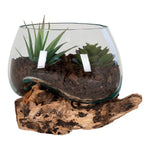 House Nordic Blomkruka San Marino Vattendroppe 15 SKU HOU-4501055 EAN 5713917009855