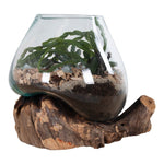 House Nordic Blomkruka San Marino Vattendroppe 20 SKU HOU-4501051 EAN 5713917009497