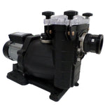 Vipool Poolpump Renovering 0,75HP 1-fas SKU POE-ACS-100-0050 EAN