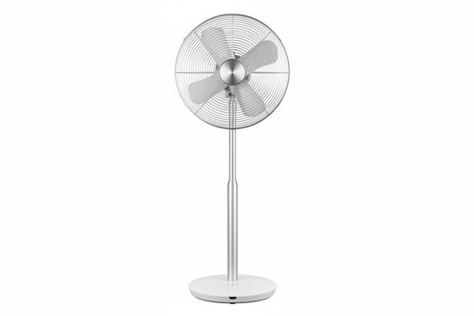 Fans
