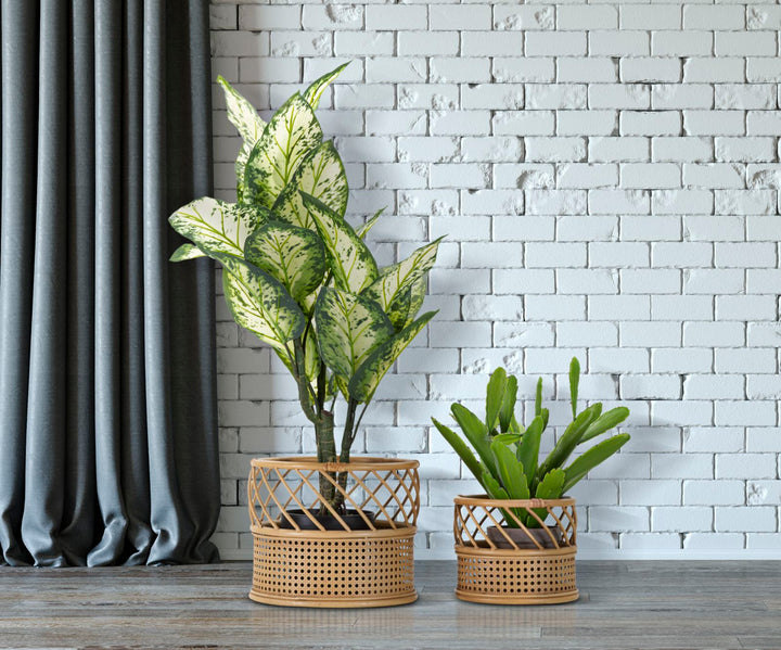 Mauro Ferretti Panama krukhållare 2-pack