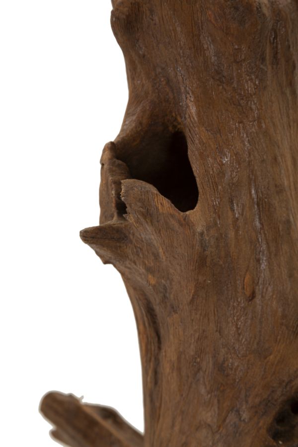 Mauro Ferretti Akar skulptur i teak 64 cm