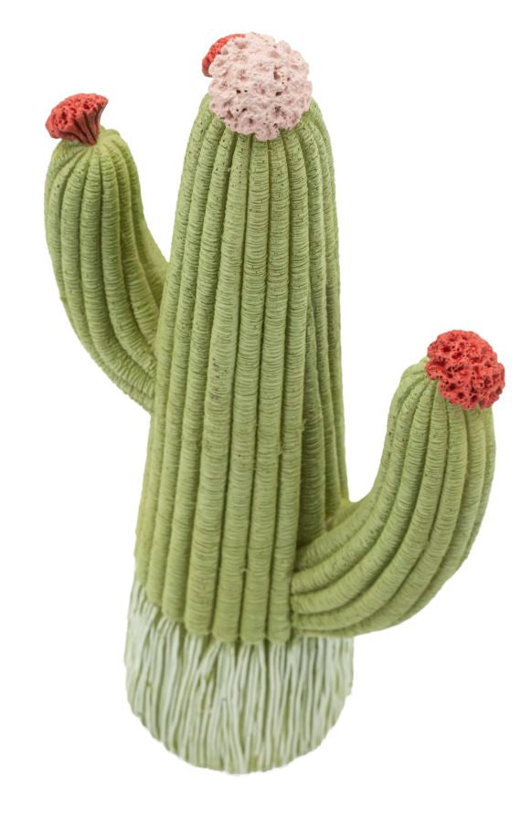 Mauro Ferretti Cactus dekorationsfigur 25 cm