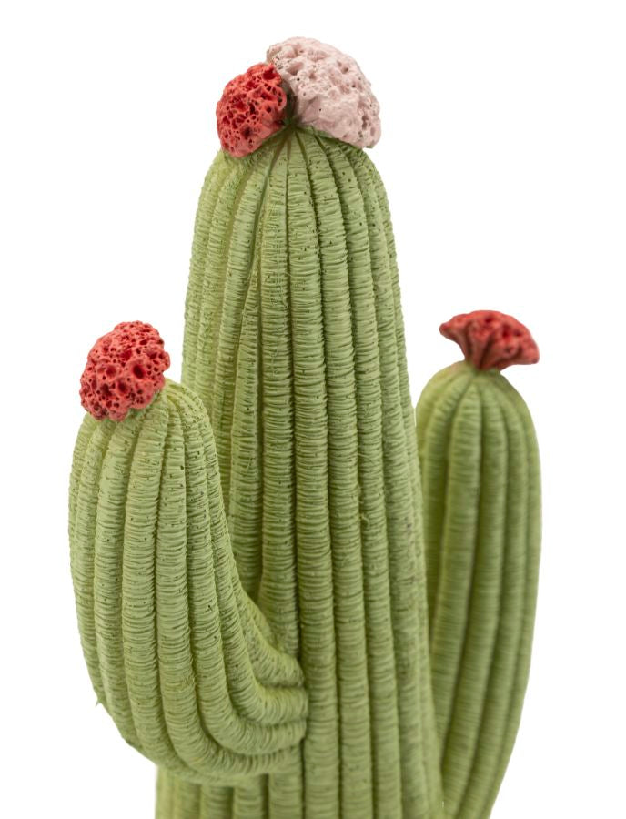 Mauro Ferretti Cactus dekorationsfigur 25 cm
