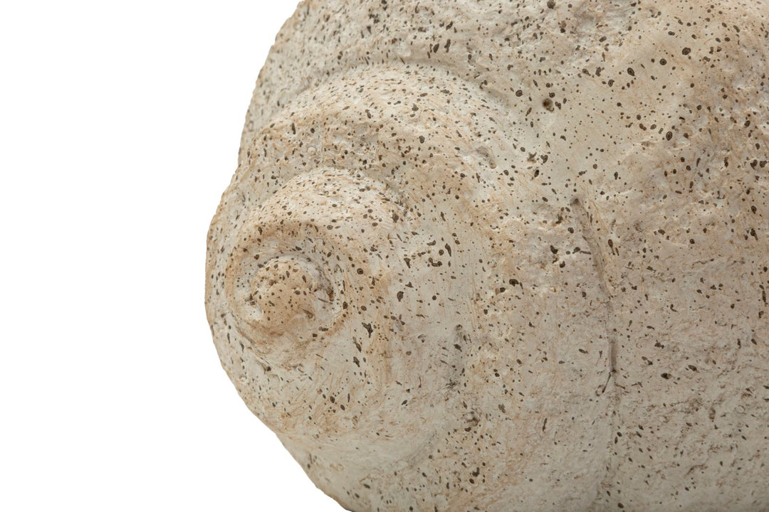 Mauro Ferretti Shell Sand B dekorativ vas 35 cm - sand