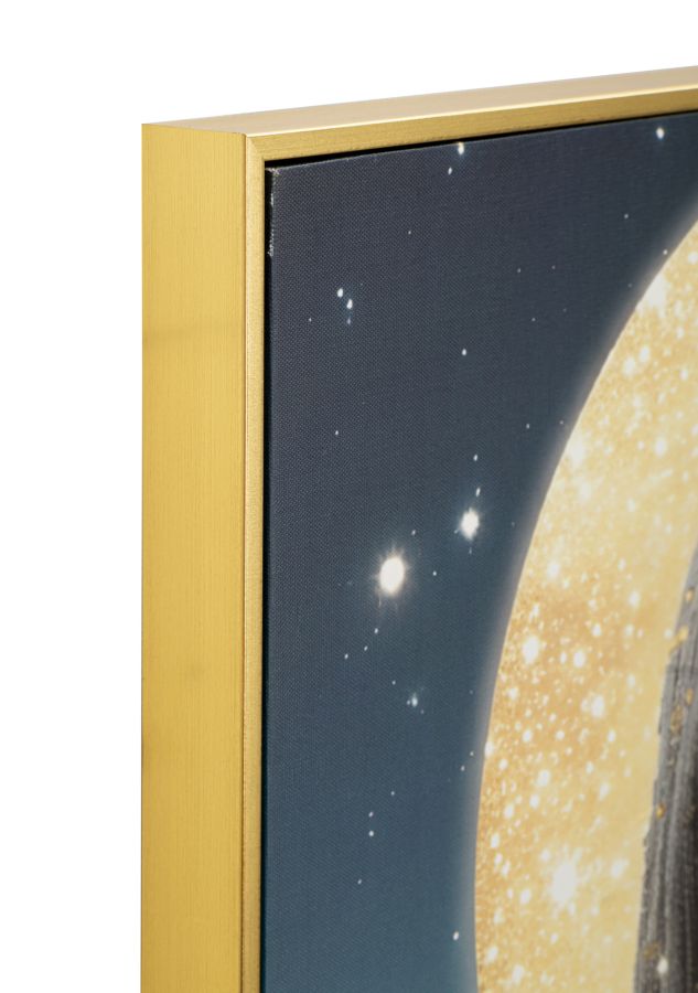 Mauro Ferretti Venus LED-tavla 70 × 100 cm - multicolor/guld
