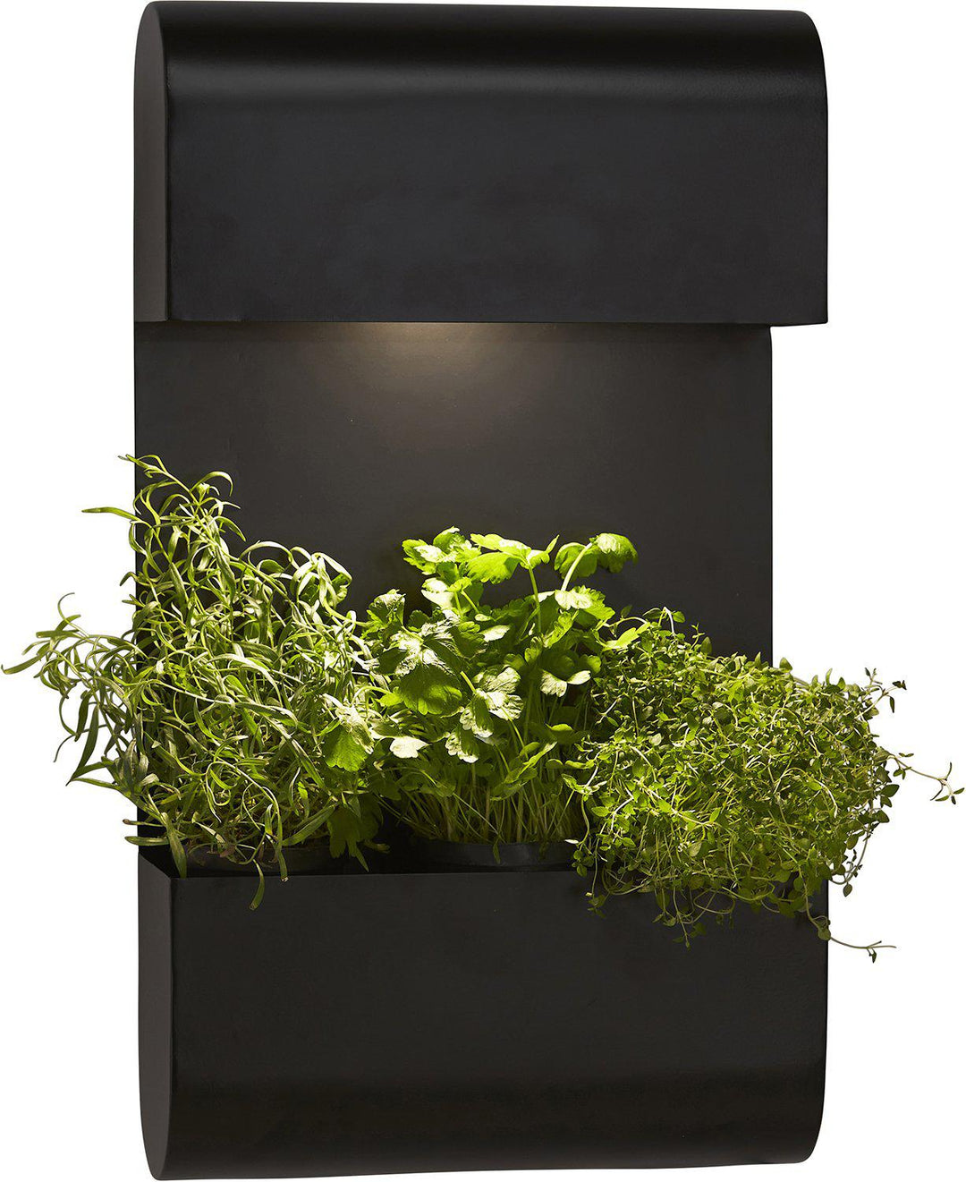 PR Home Planta wall lamp