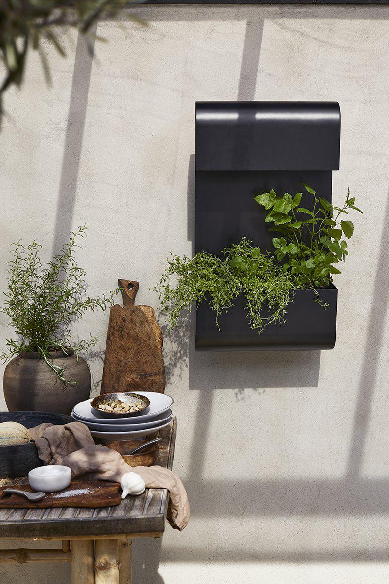 PR Home Planta wall lamp