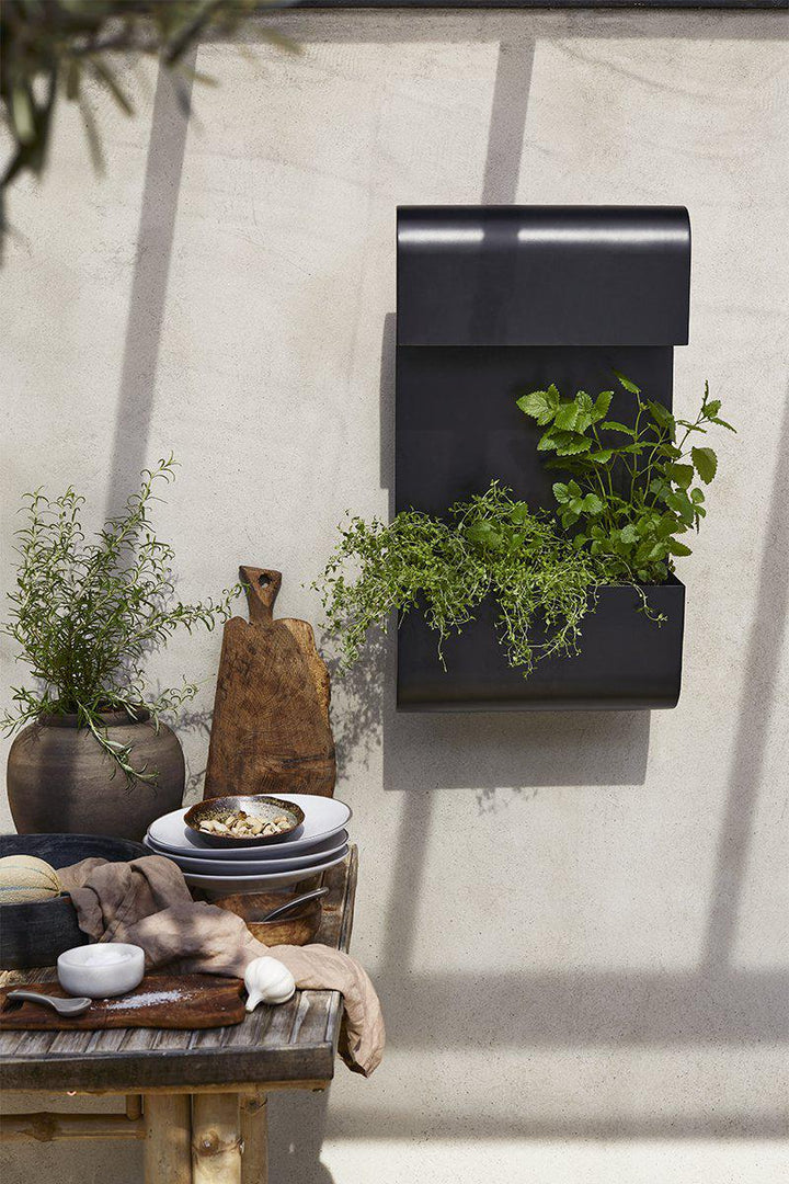PR Home Planta wall lamp