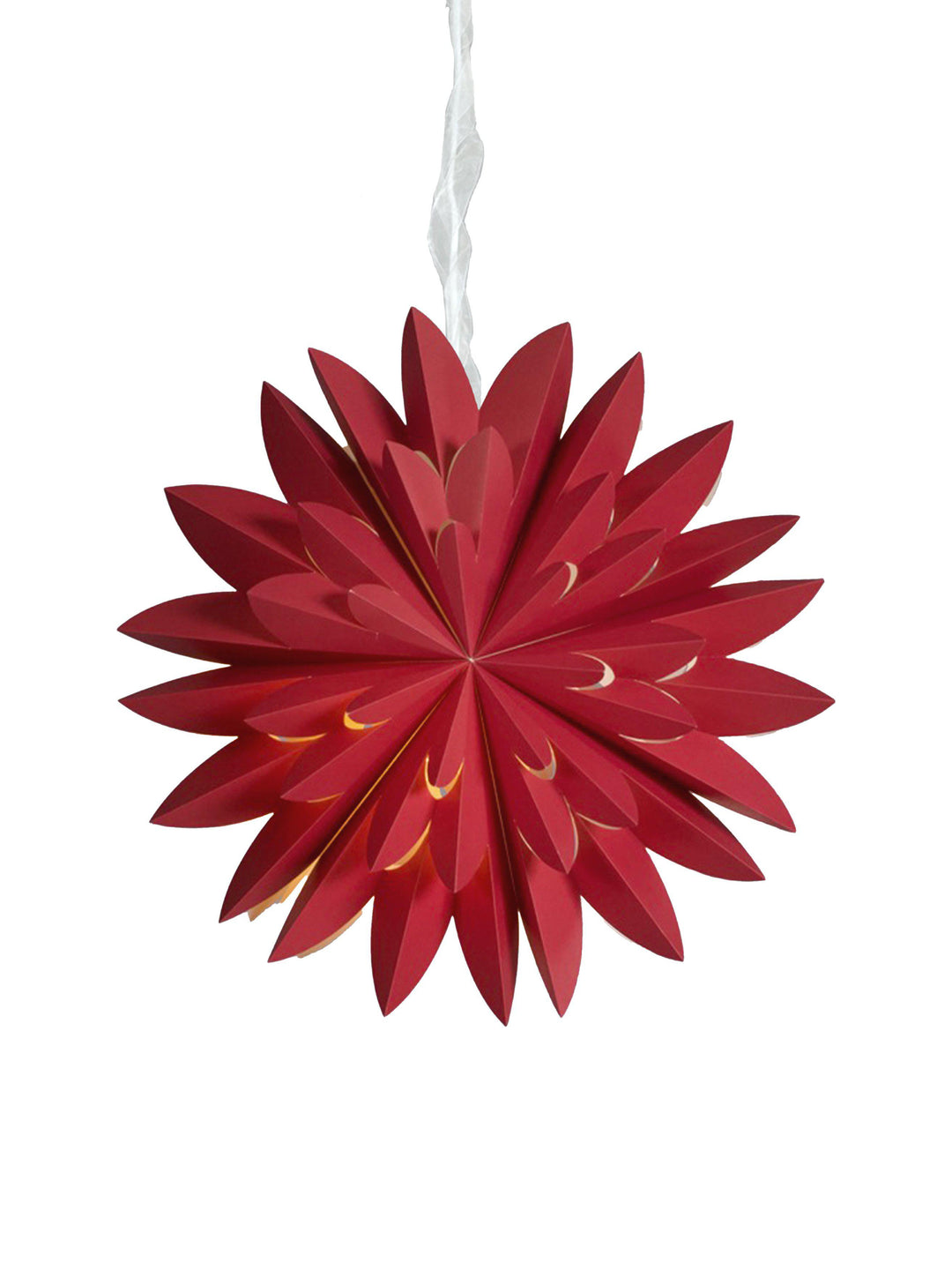 PR Home Hyacinth star