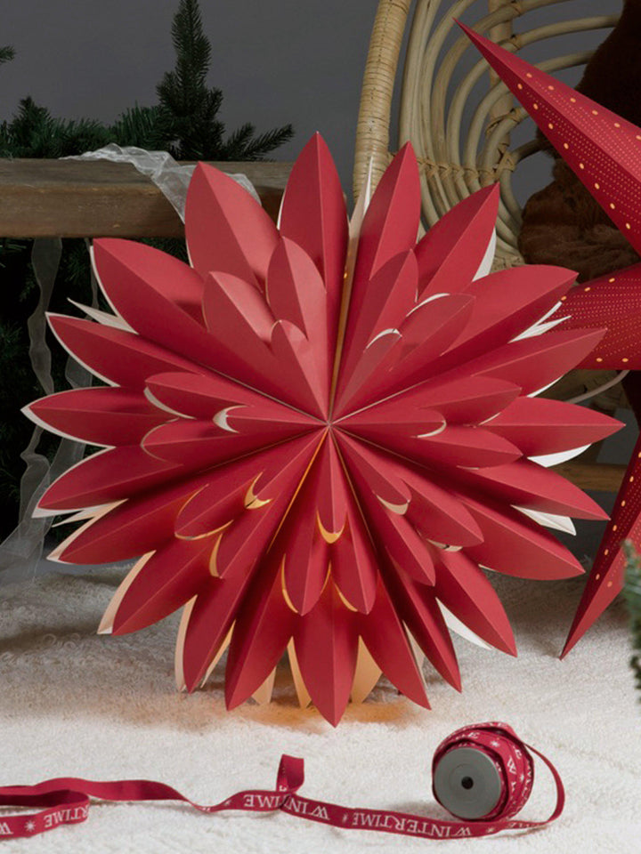 PR Home Hyacinth star
