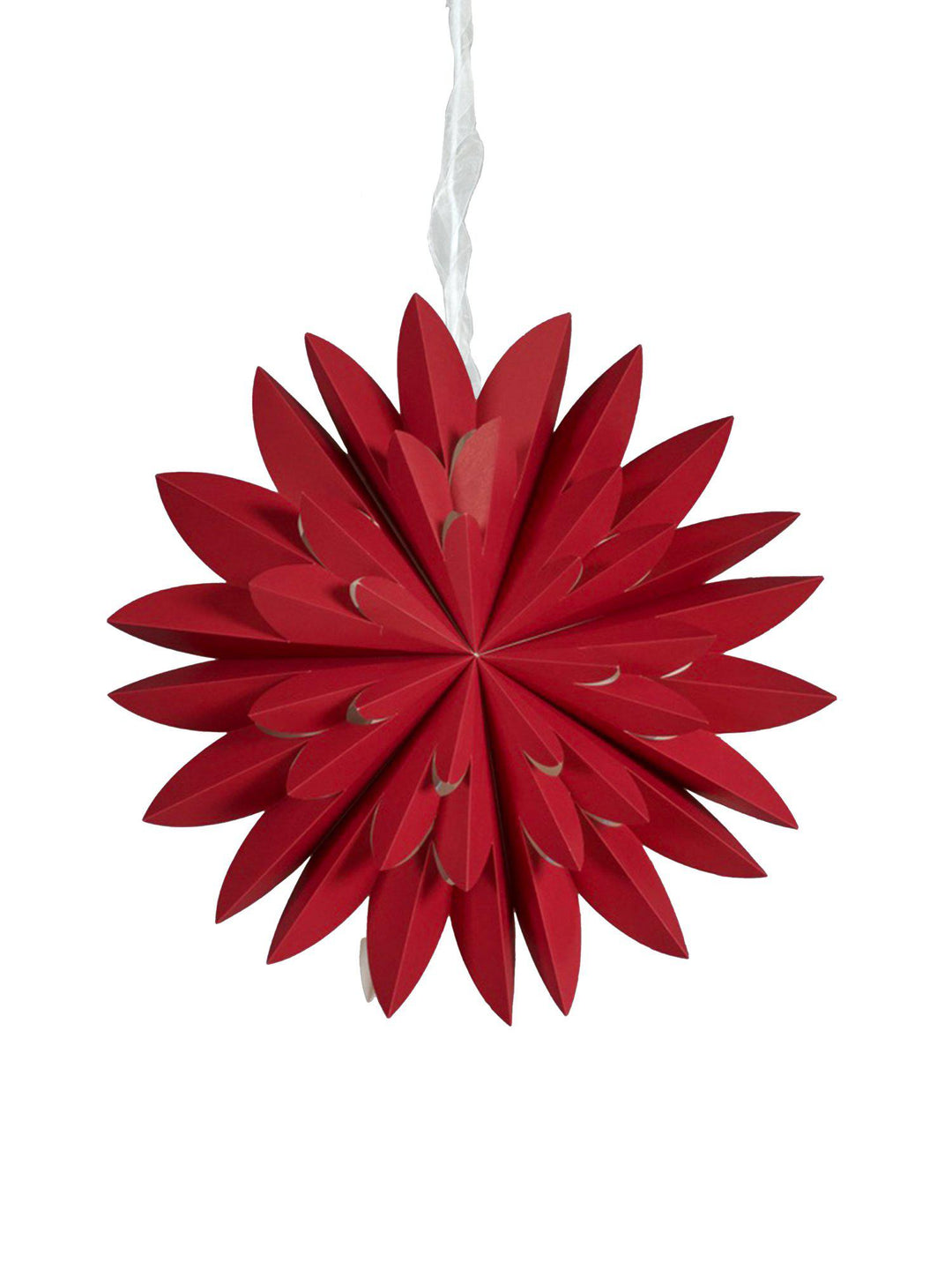 PR Home Hyacinth star