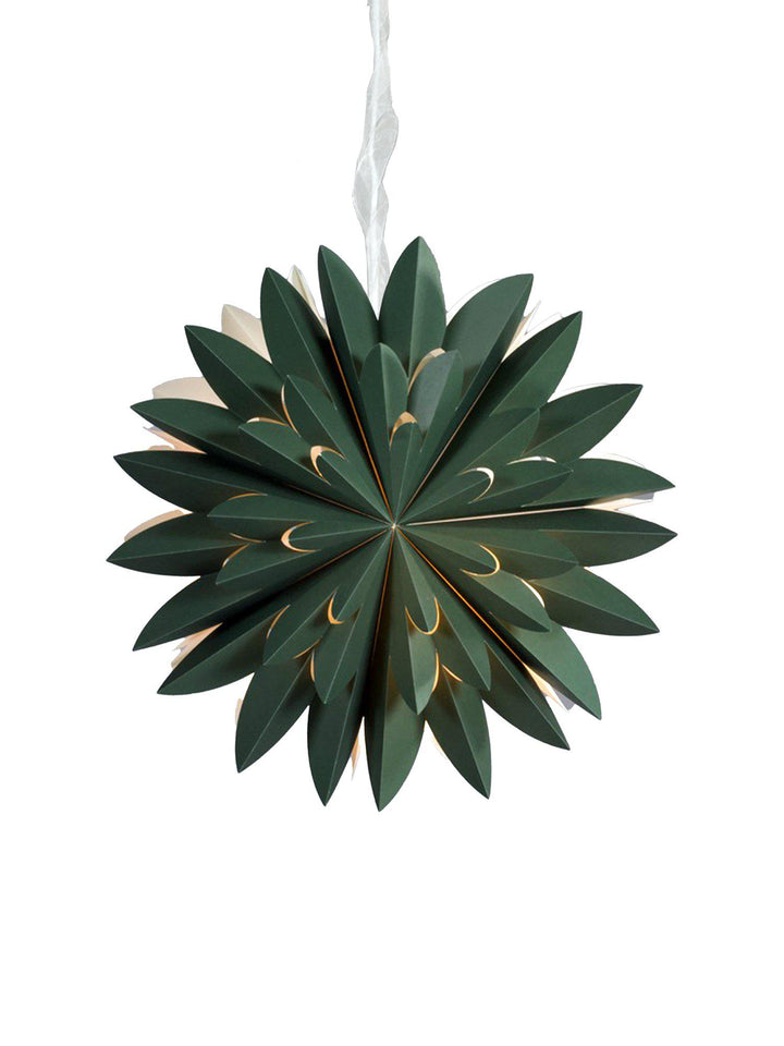 PR Home Hyacinth star