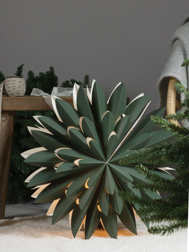 PR Home Hyacinth star