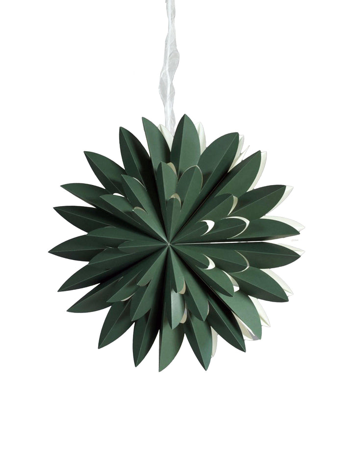 PR Home Hyacinth star