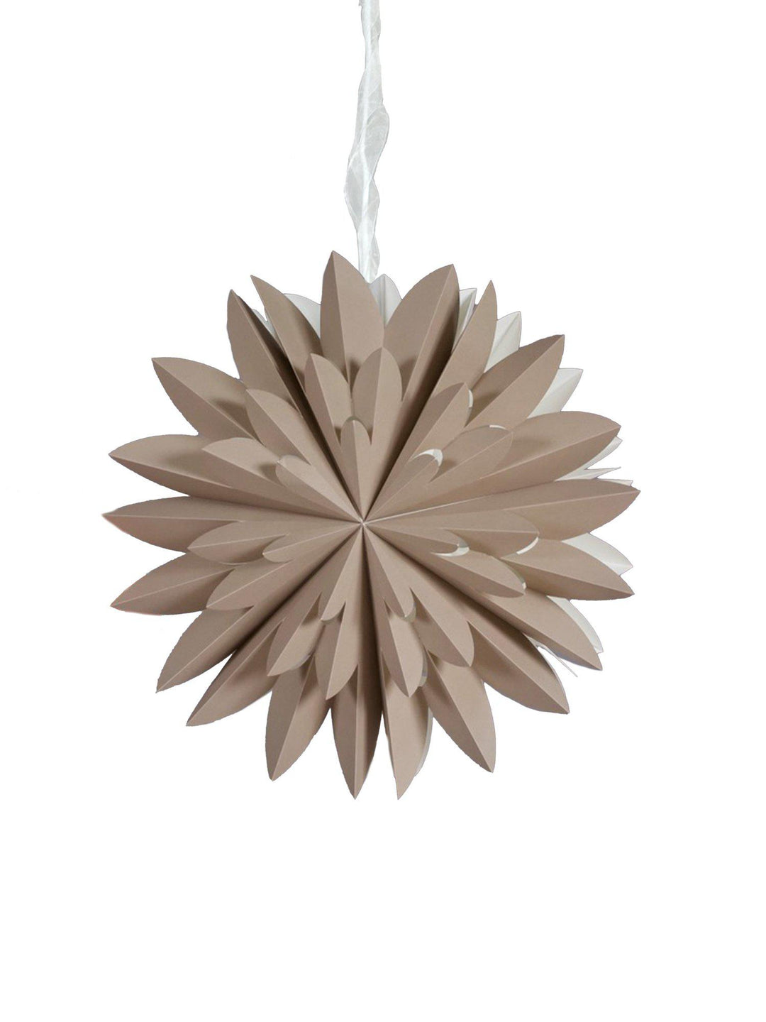 PR Home Hyacinth star