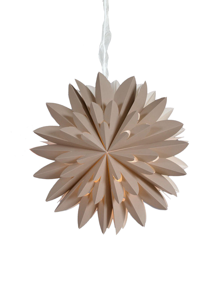 PR Home Hyacinth star