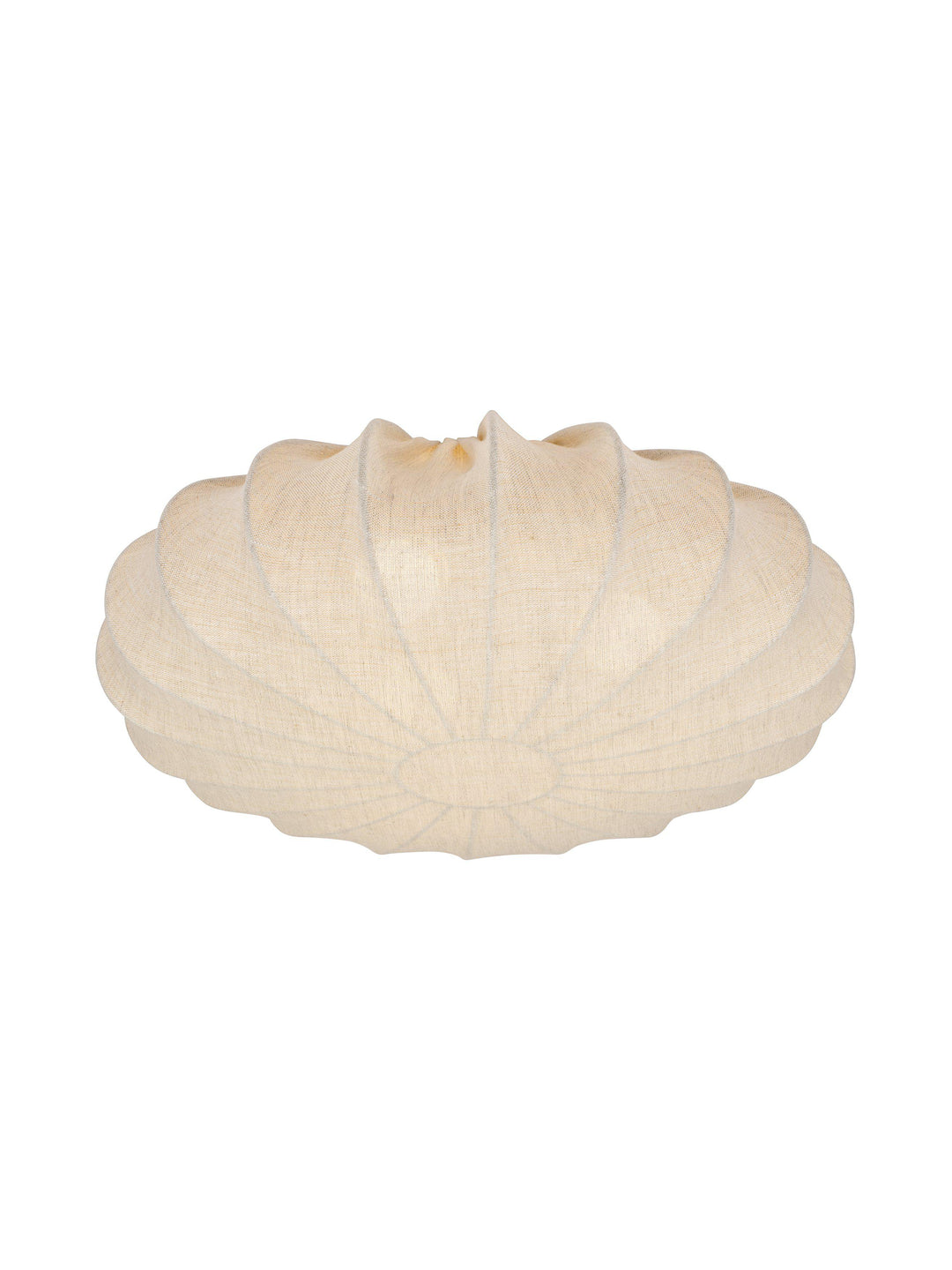 PR Home Ceiling Lamp
