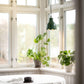 PR Home Tulippa tak/fönster