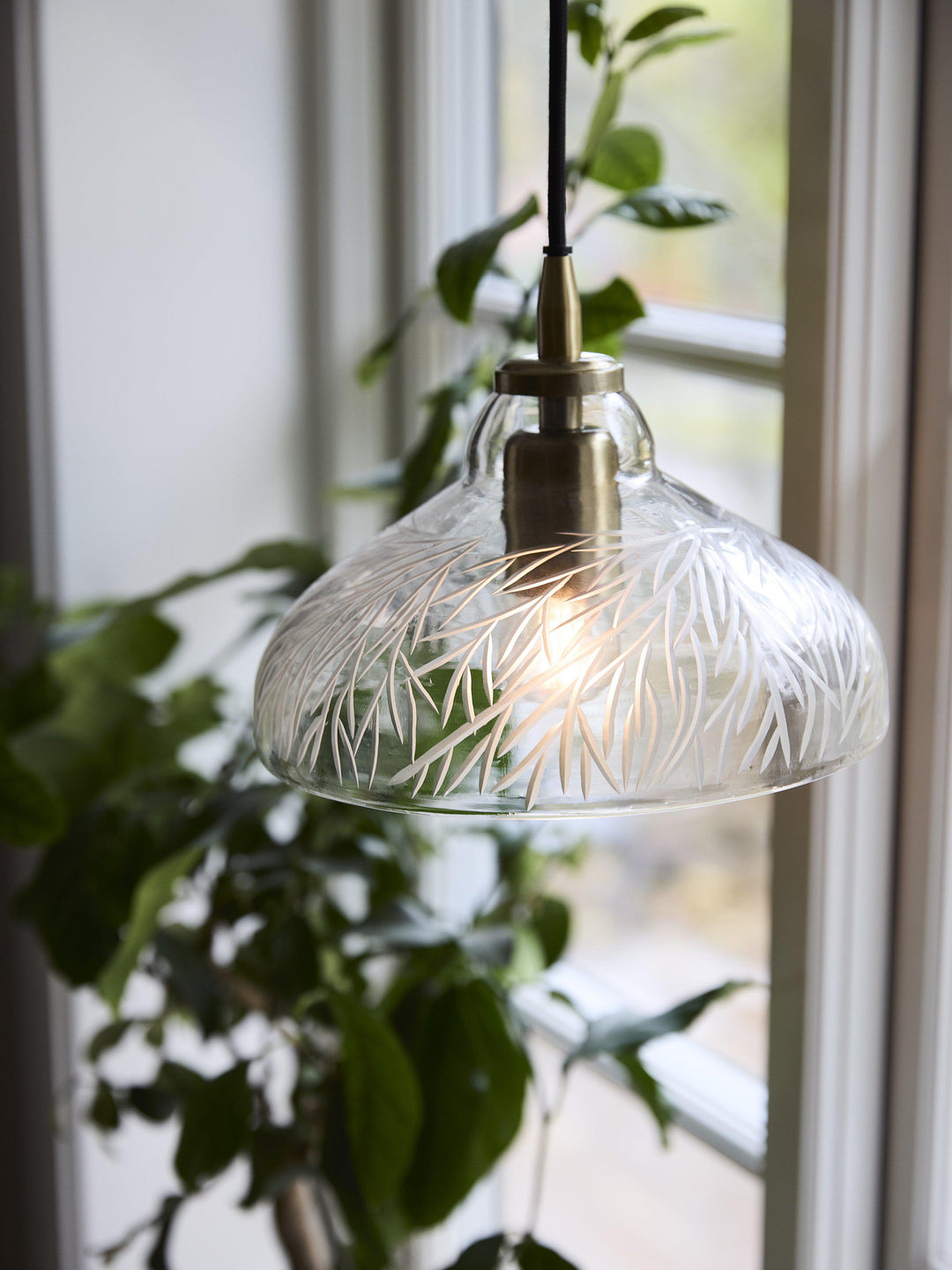 PR Home Maple Pendant Lamp