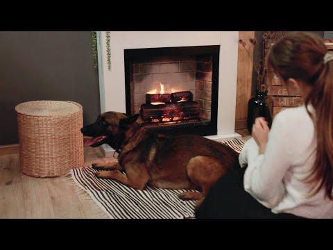 TAGU Elkamin Frode Electric med PowerFlame 2