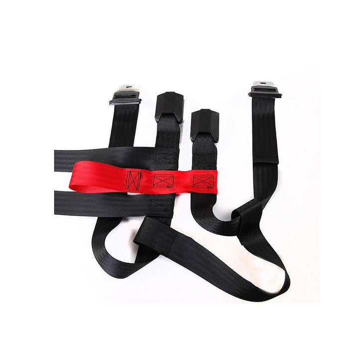 Artfex Bilsele Dog Harness SKU EAN