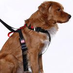 Artfex Bilsele Dog Harness SKU EAN