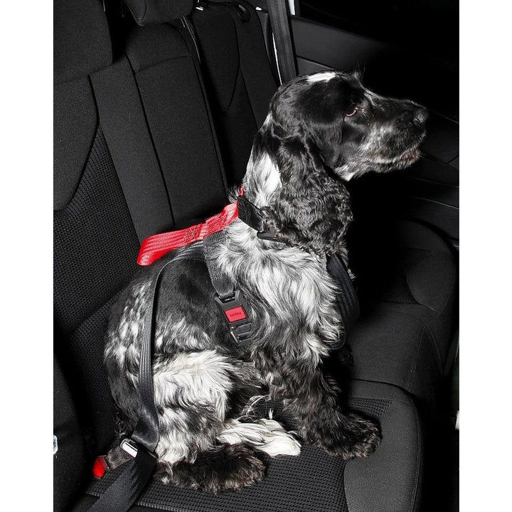 Artfex Bilsele Dog Harness SKU EAN