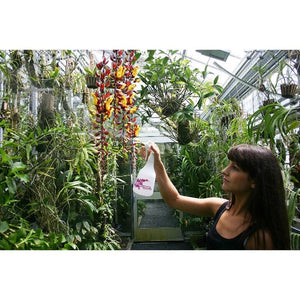 Birchmeier Blomspruta Melua 0.5 SKU ASP-11863601 EAN 7611034014197