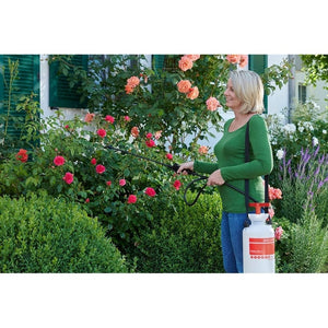 Birchmeier Tryckspruta Hobby Star 5 SKU ASP-11642803 EAN 7611034011080