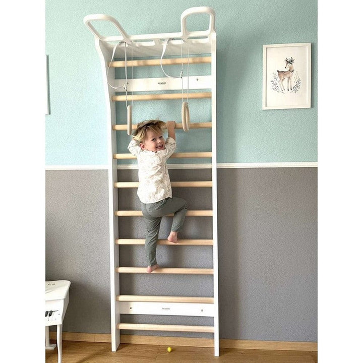FitWood Ribbstol AARNI SKU EAN