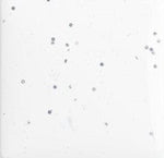 Fjordpool Tillval 3DVIT SKU POL-3DVIT EAN