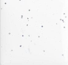 Fjordpool Tillval 3DVIT SKU POL-3DVIT EAN