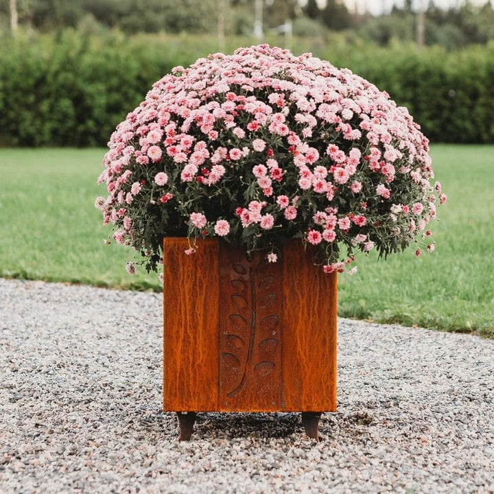GrillSymbol Fat Ballerina Blomkrukor i Cortenstål SKU EAN