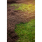 Hasselfors Garden Dressjord Storsäck SKU OMN-101736 EAN 07340208637664