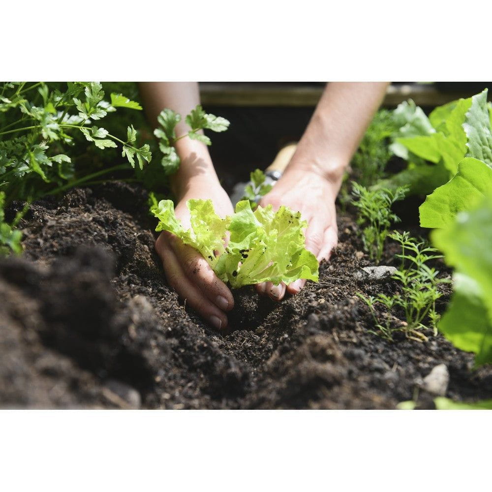 Hasselfors Garden Grönsaksjord Storsäck SKU OMN-101680 EAN 07340208634182
