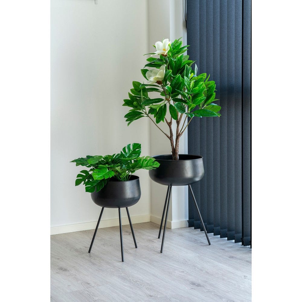 House Nordic Blomkruka Ardola 2-pack SKU HOU-9001170 EAN 5713917016433