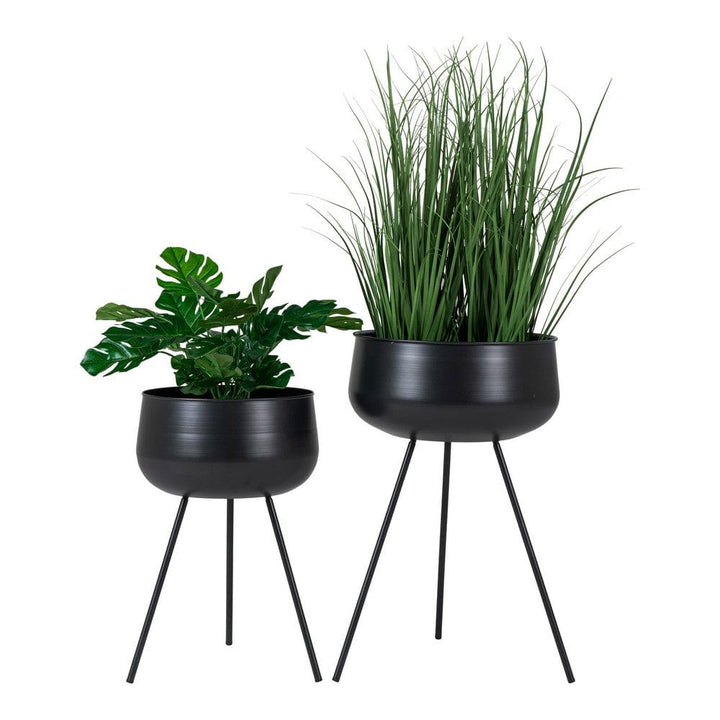 House Nordic Blomkruka Ardola 2-pack SKU HOU-9001170 EAN 5713917016433