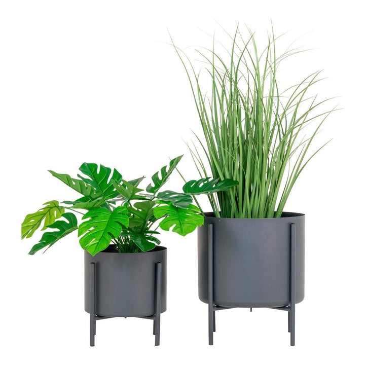 House Nordic Blomkruka Pavia 2-pack SKU HOU-9001175 EAN 5713917016402