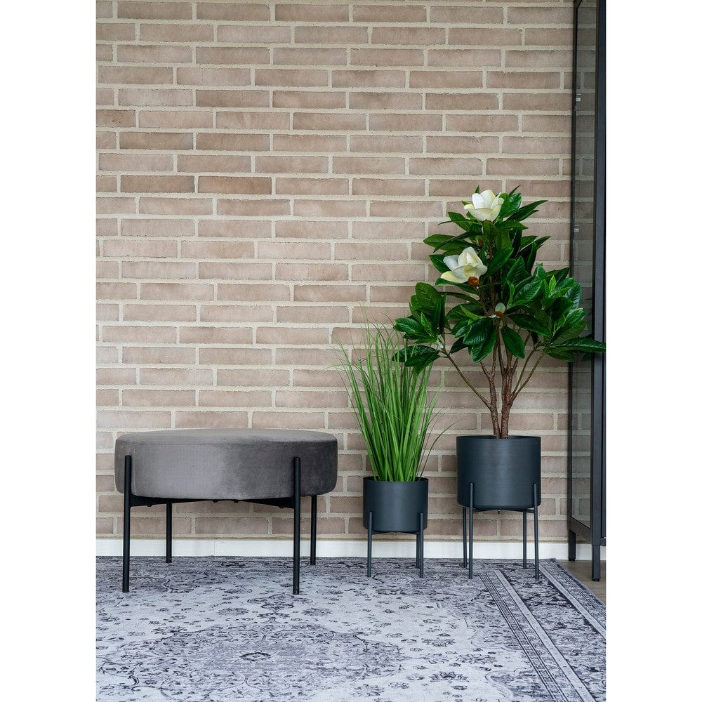 House Nordic Blomkruka Pavia 2-pack SKU HOU-9001175 EAN 5713917016402
