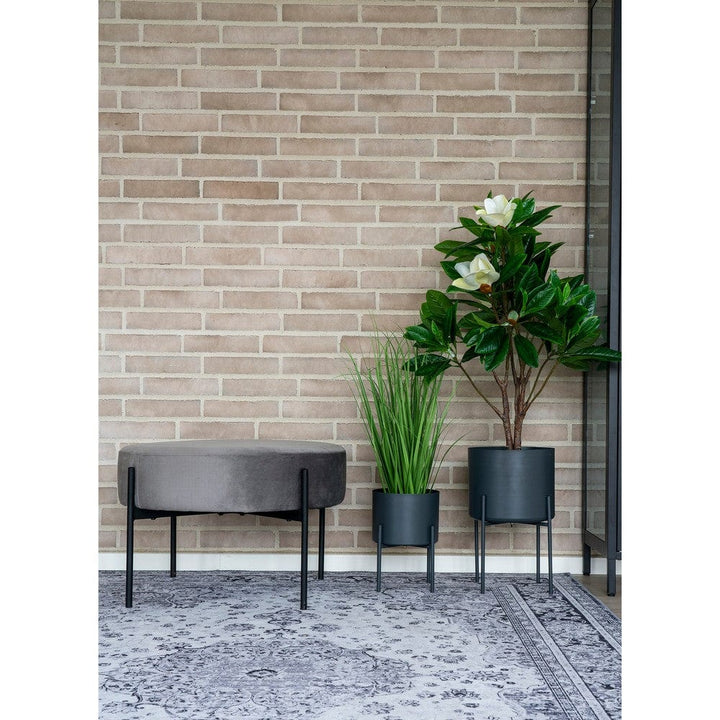 House Nordic Blomkruka Pavia 2-pack SKU HOU-9001175 EAN 5713917016402