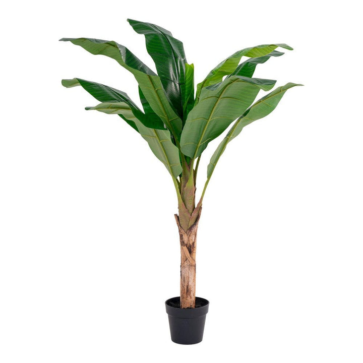 House Nordic Konstväxt Bananpalm SKU HOU-9501100 EAN 5713917014880