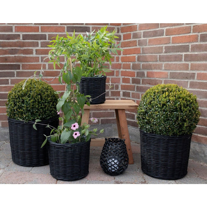 House Nordic Korg Bogor Svart Rotting 4-pack SKU HOU-4401121 EAN 5713917009428