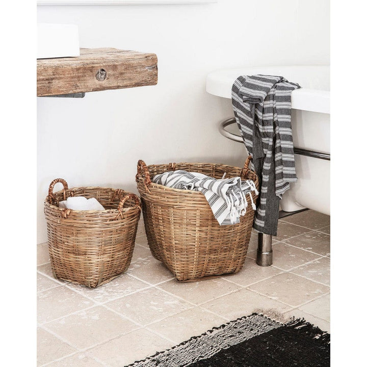 Meraki Korg Tradition 2-pack SKU EAN