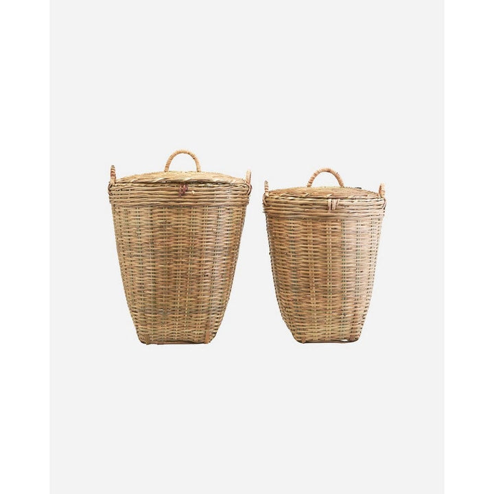 Meraki Korg Tradition 2-pack Large SKU SOC-312430203 EAN 5707644536807
