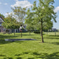 Salta Studsmatta Royal Baseground Sport SKU EAN